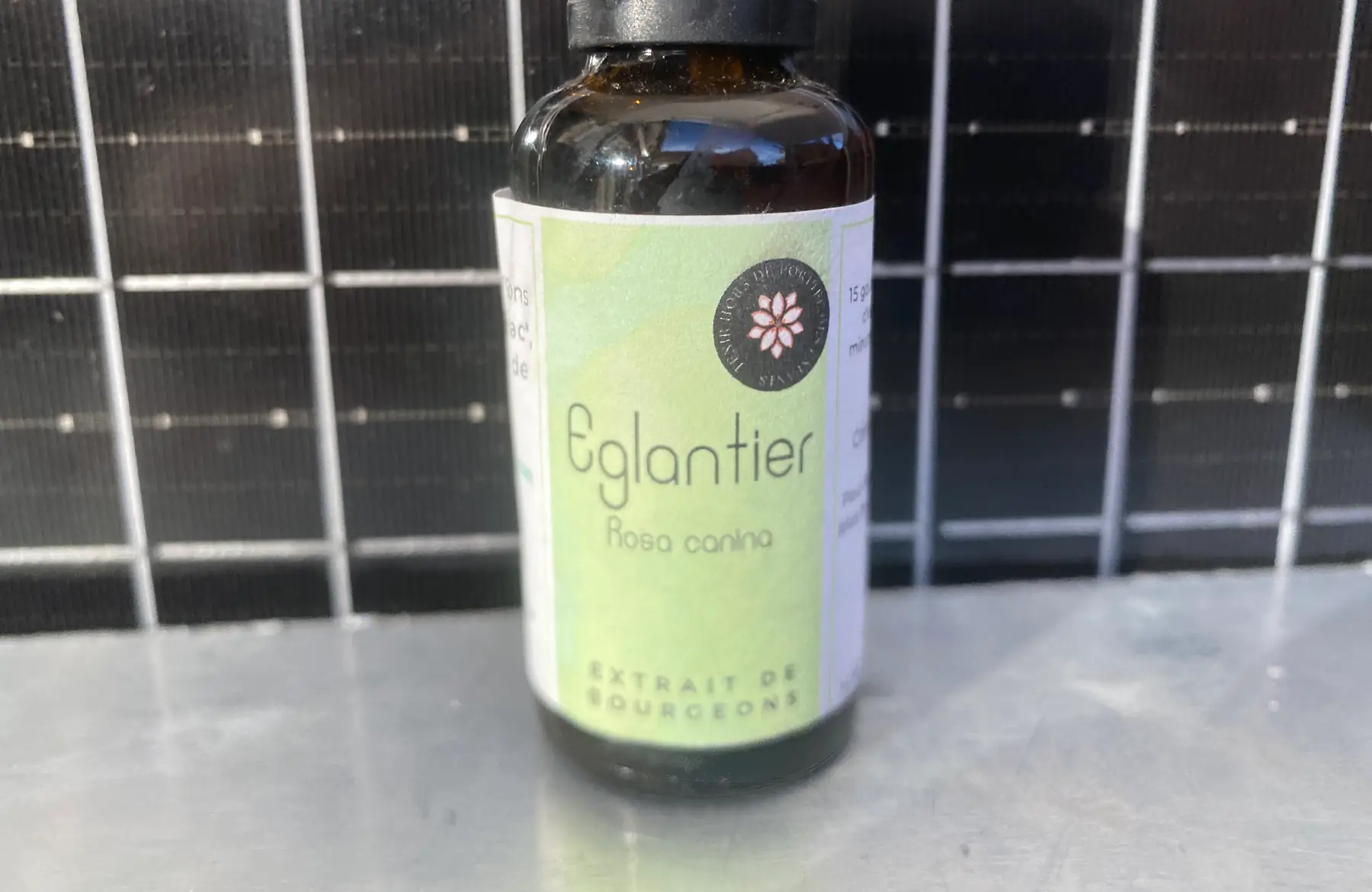 macerat de bourgeon eglantier