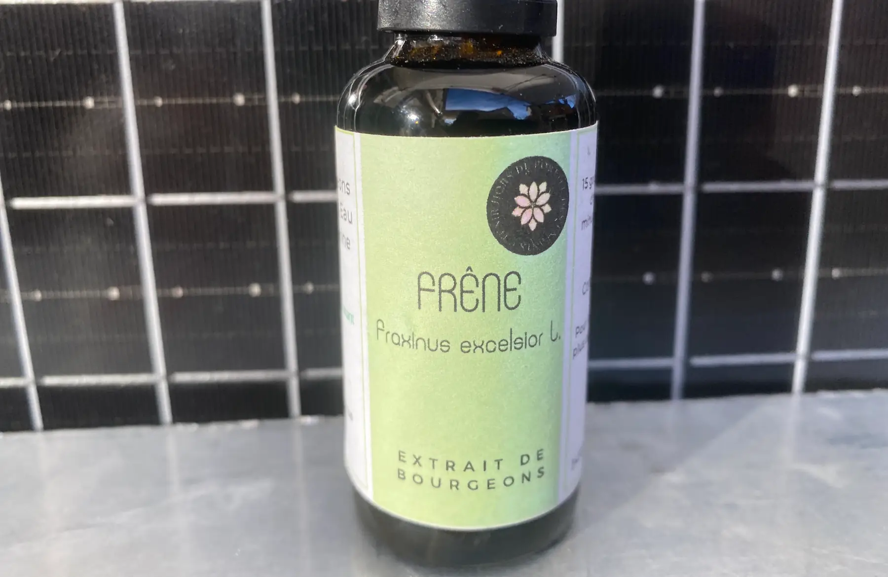 macerat de bourgeon frene