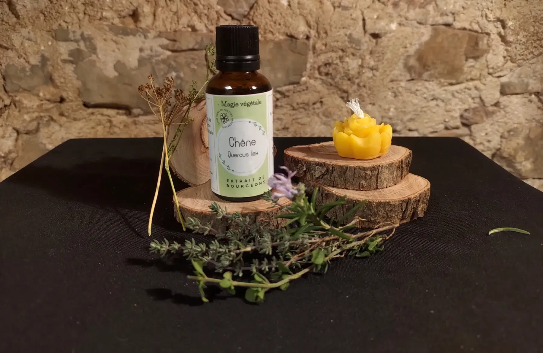 macerat de bourgeon chene