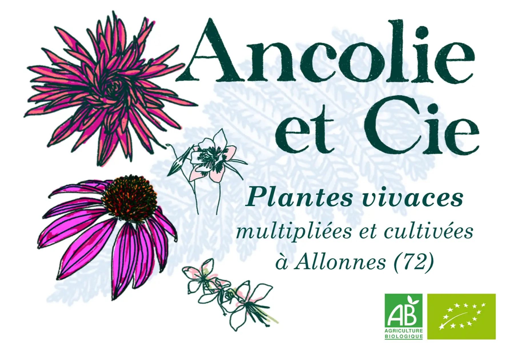 Pépinière Ancolie et Cie
