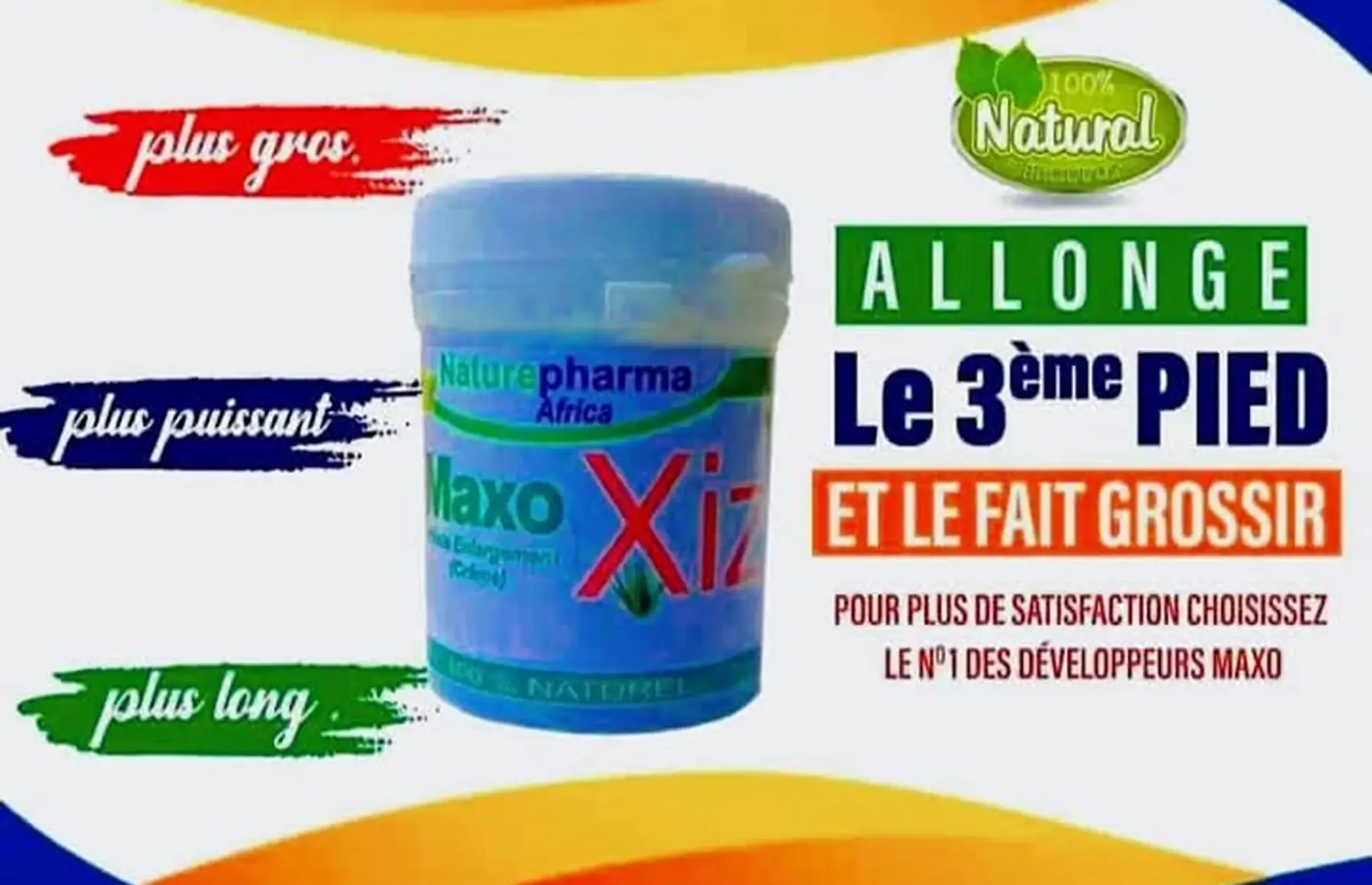 Kit pinos