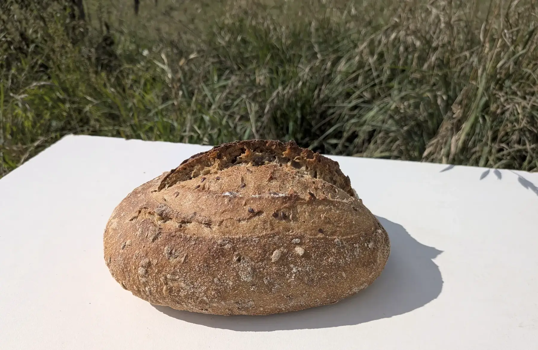pain aux graines