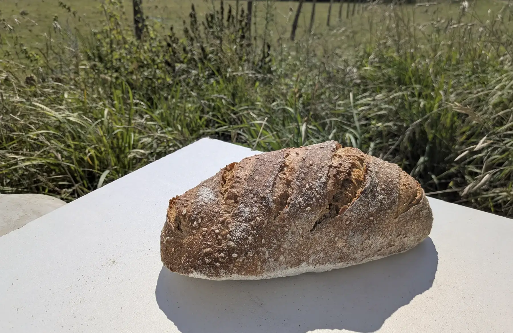 pain au sésame