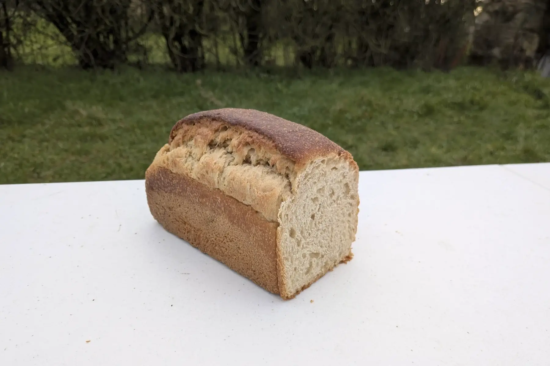 pain brioché tous les 15 j : consultez les dates en description !