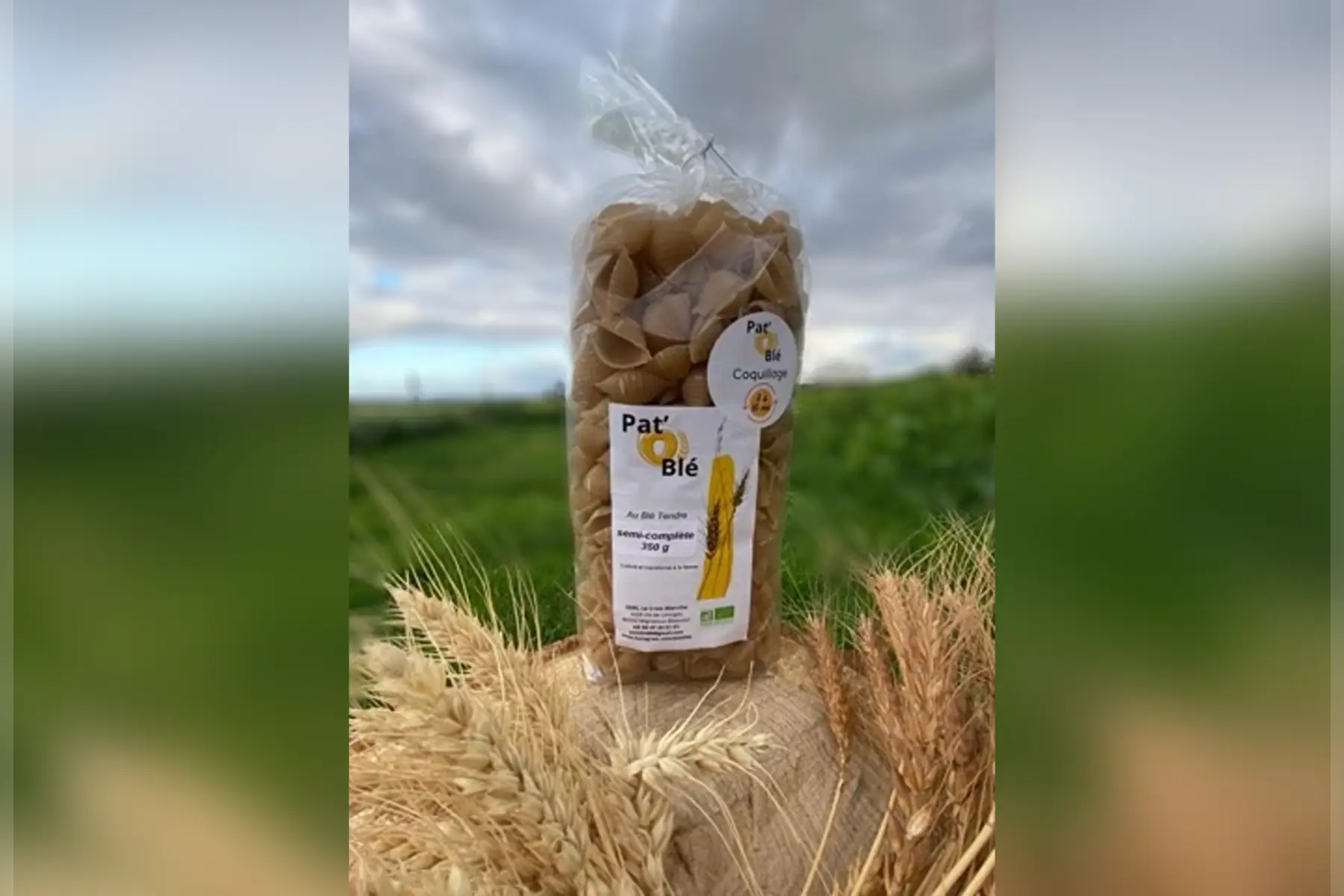 Coquillage semi complète