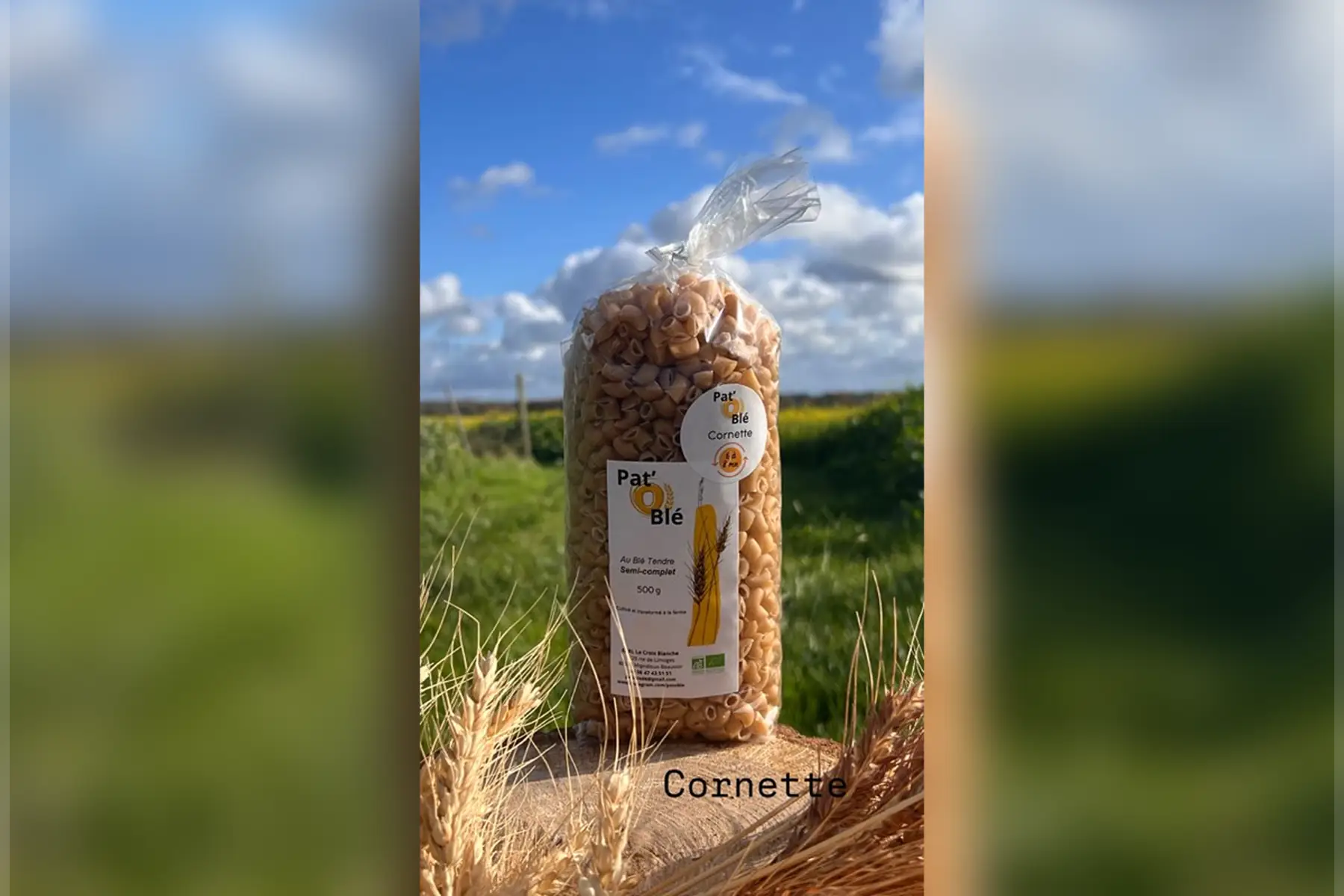 Cornette semi complete