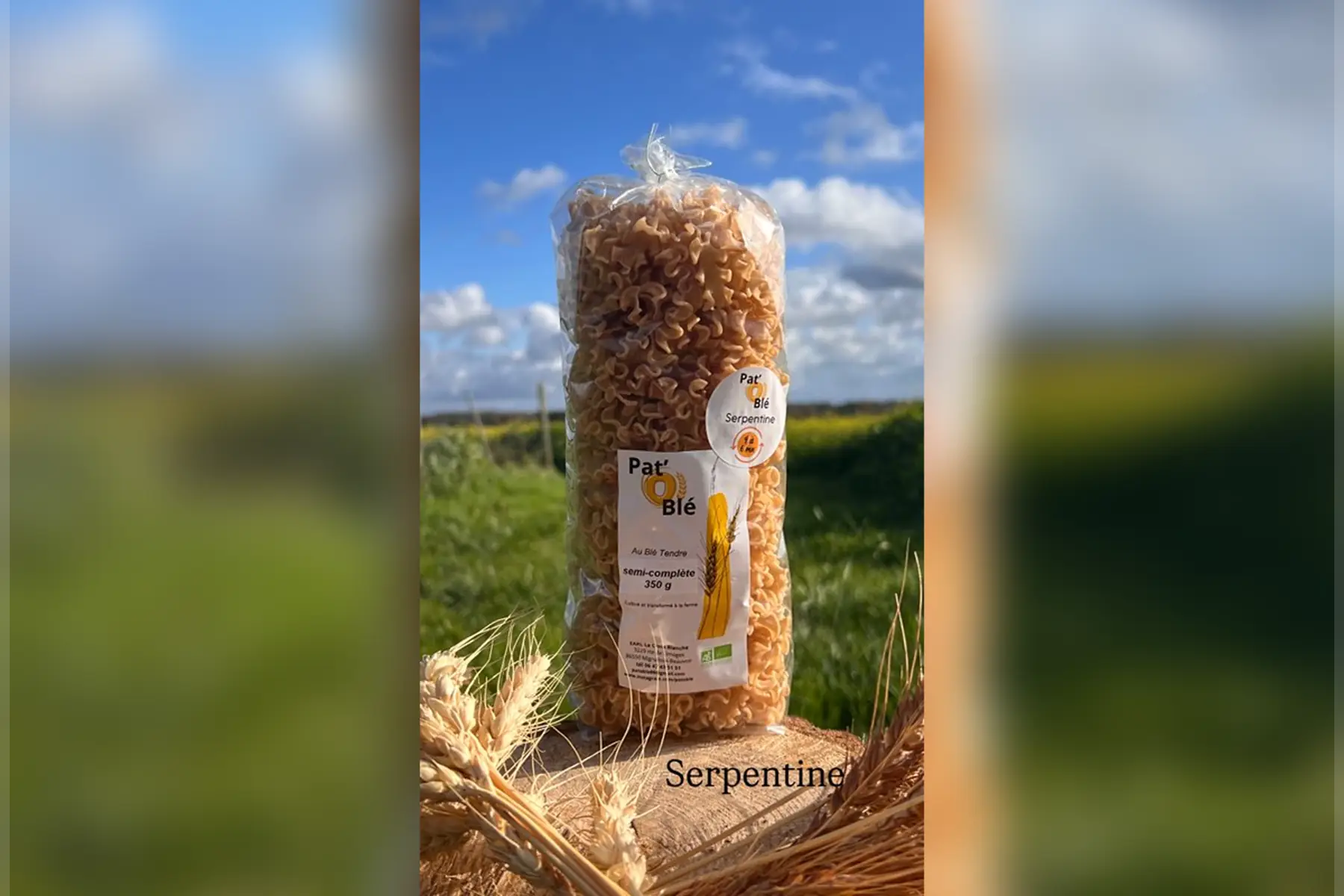 Serpentine semi complète