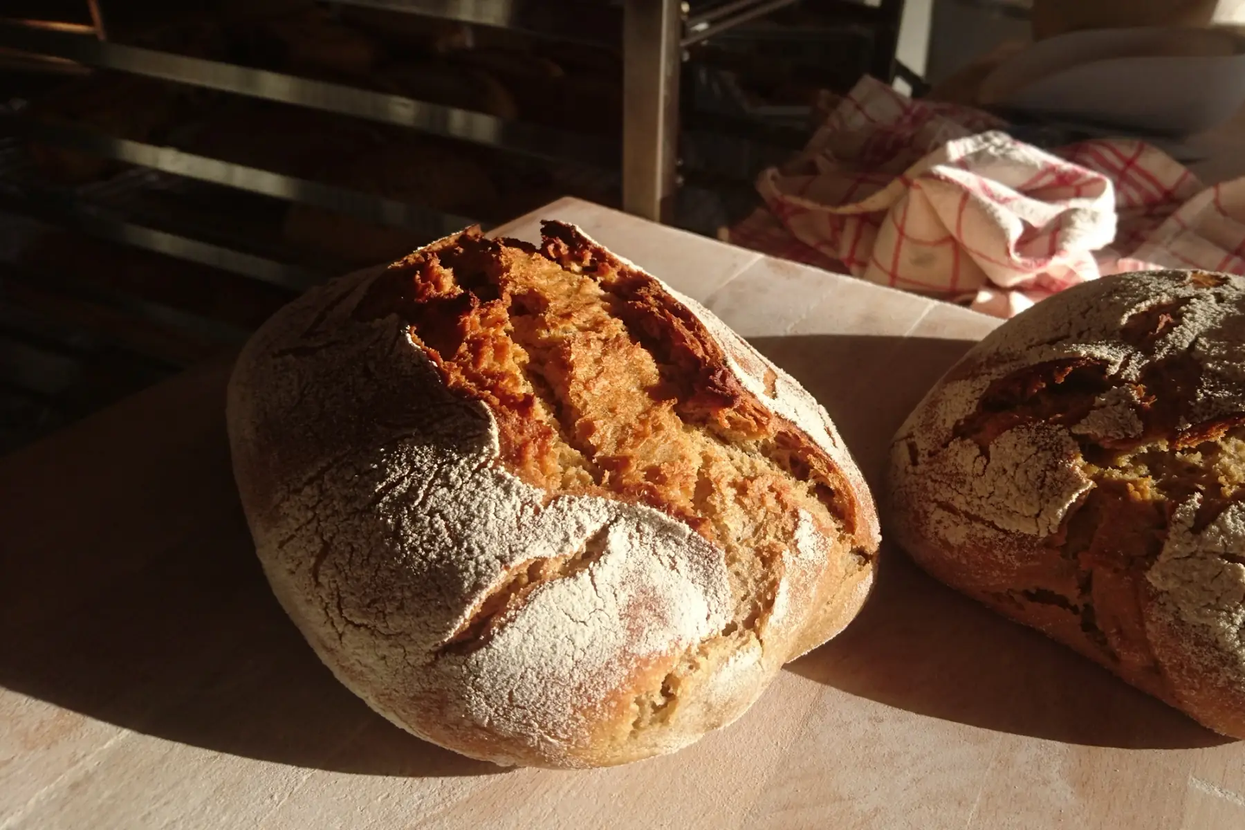 Pain de Seigle 500 g
