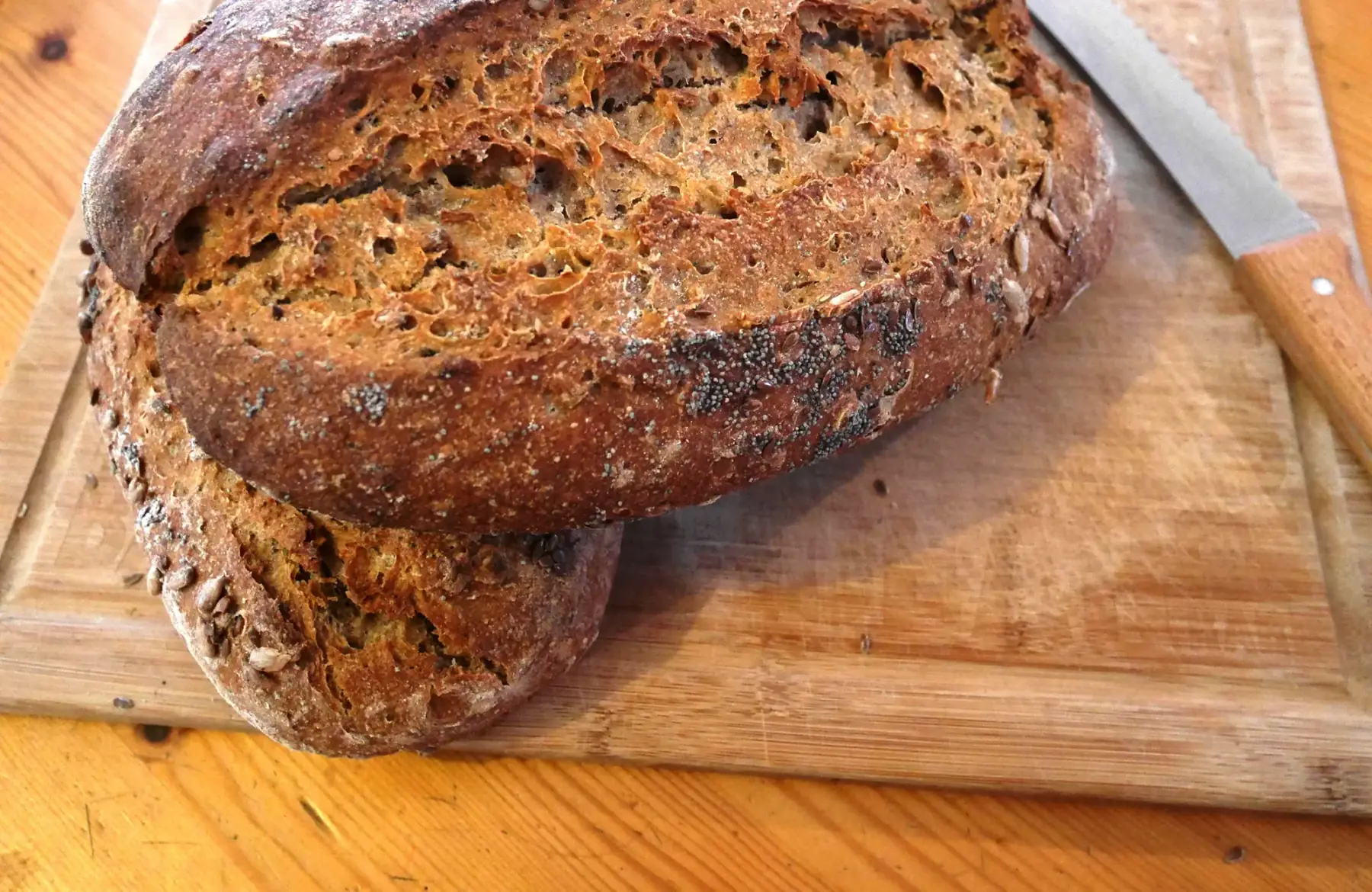 Multi Graines 1 kg