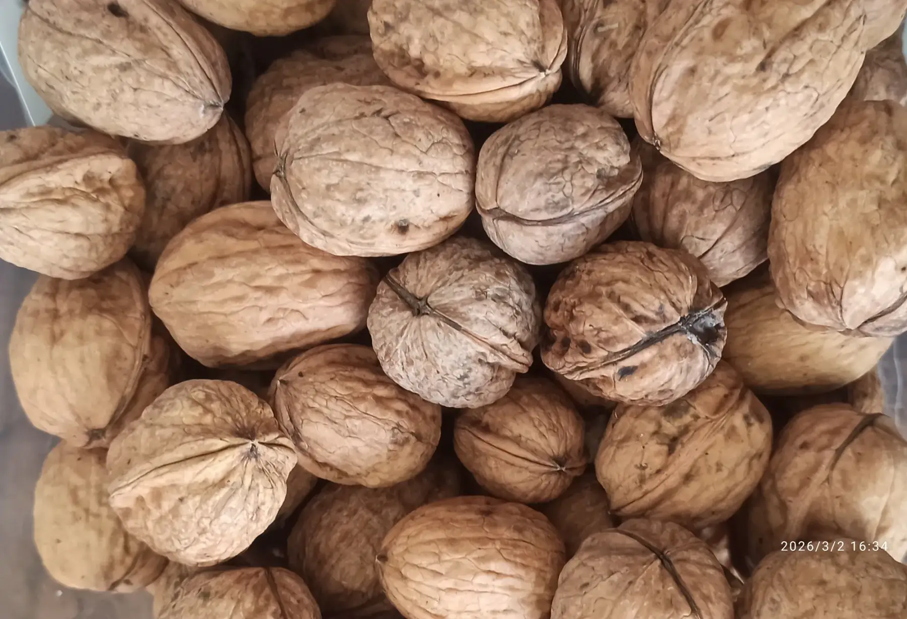 1kg noix bio