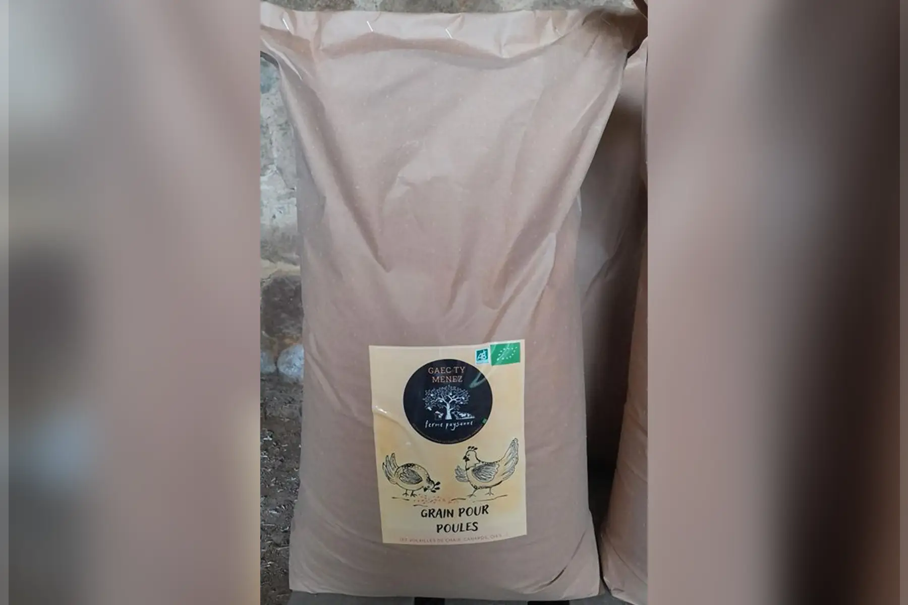 grain pour poule