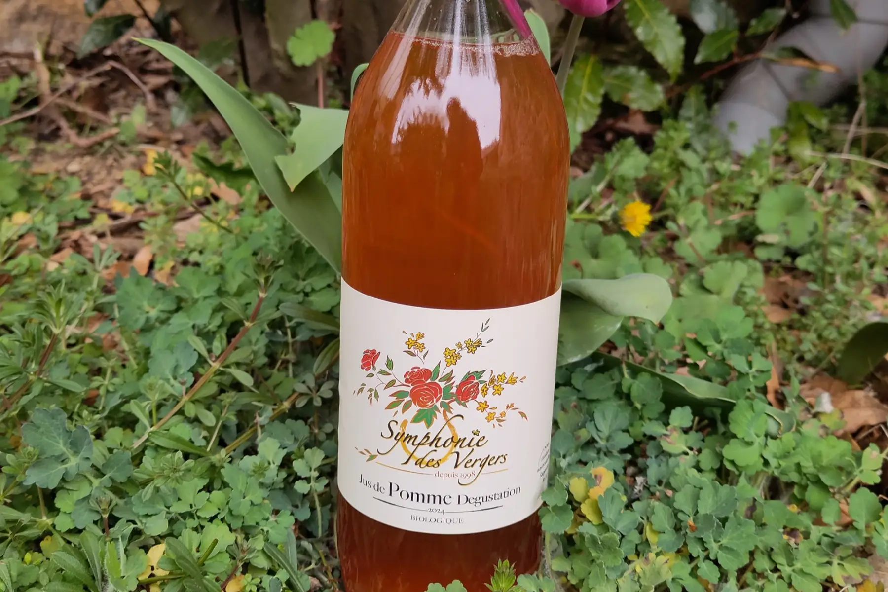 Jus de pomme Dégustation