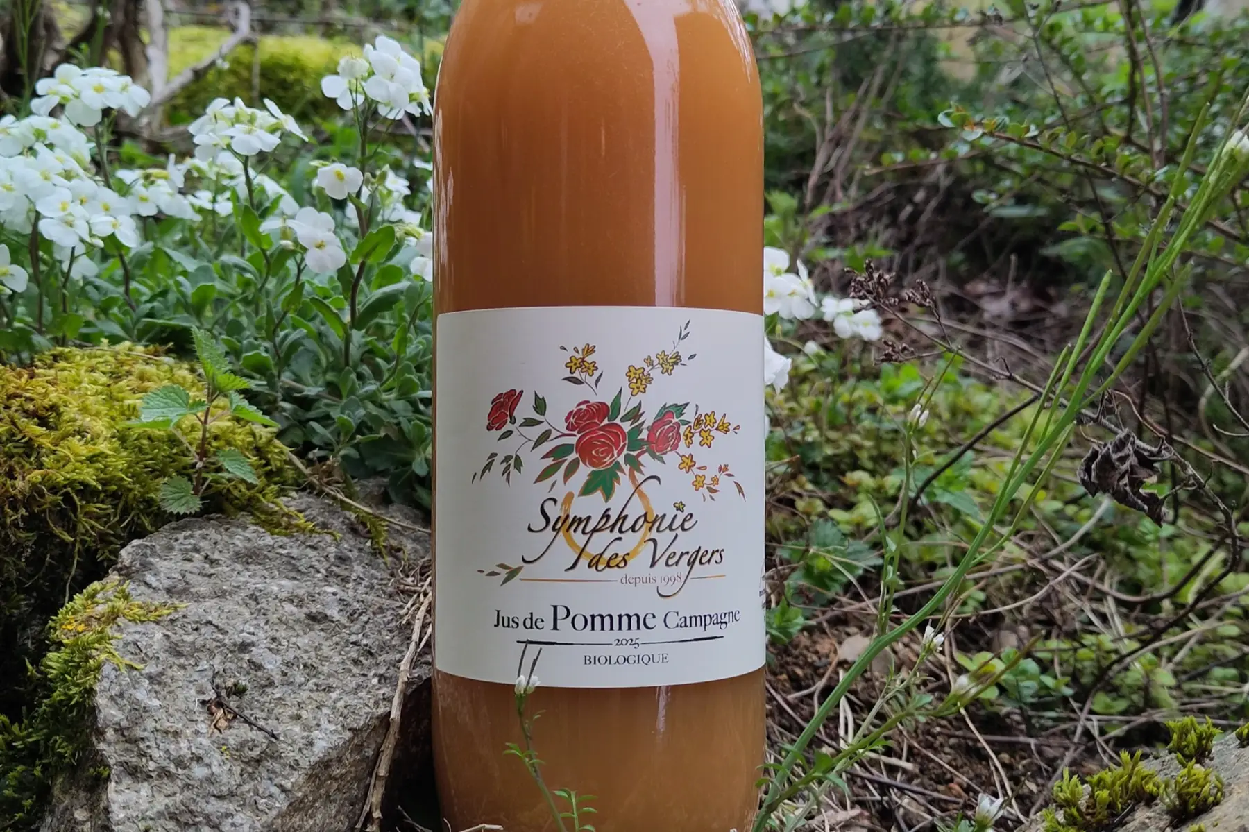 Jus de pomme Campagne