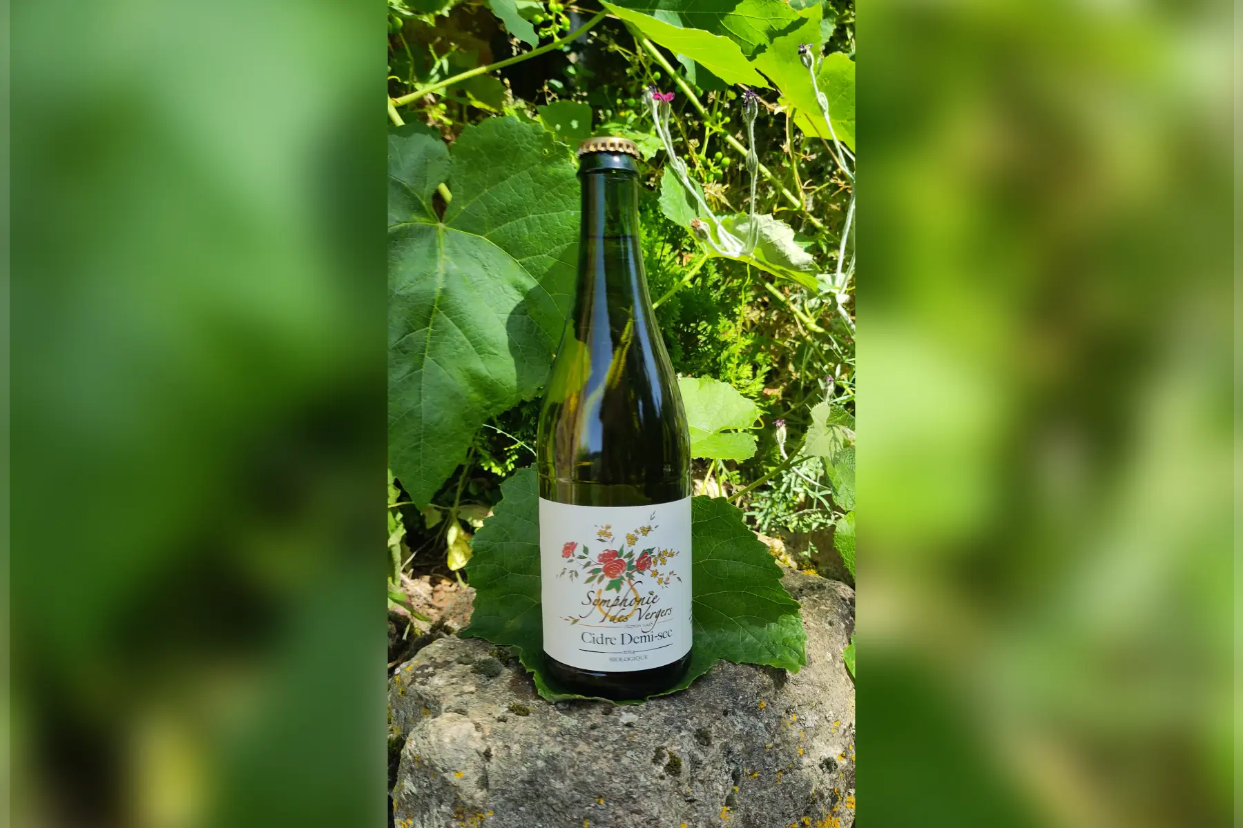 Cidre demi-sec