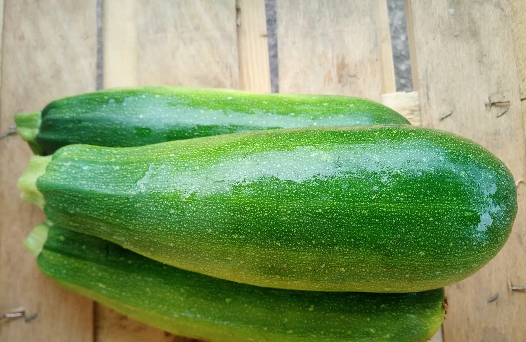 Courgettes