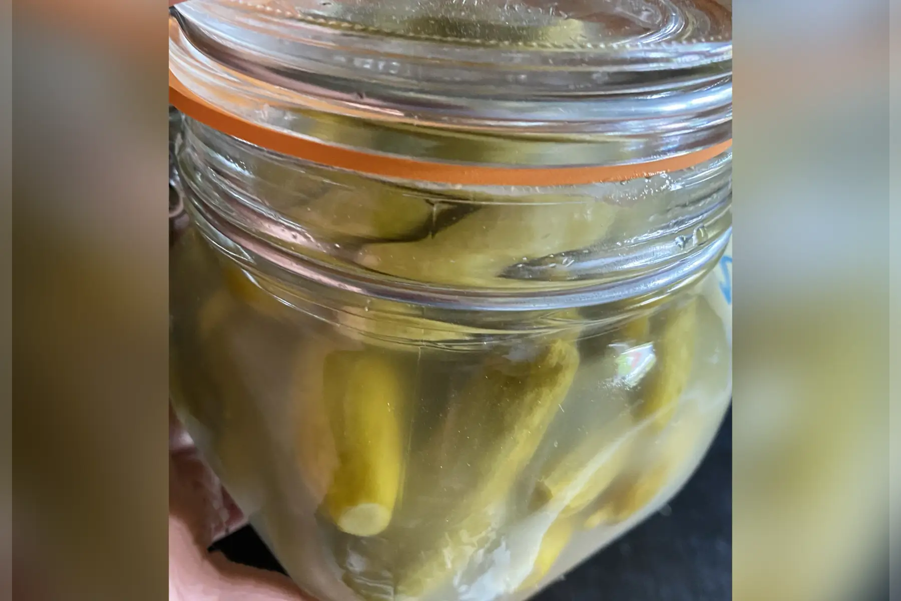 Cornichons lactofermentés