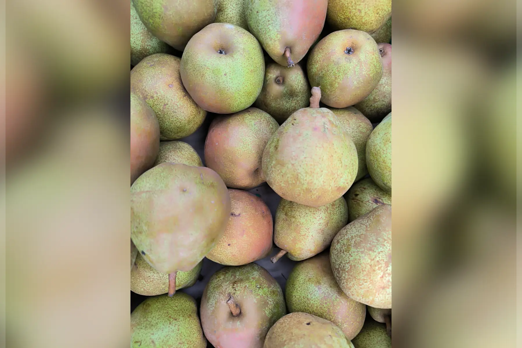 Poire Doyenné du Comice