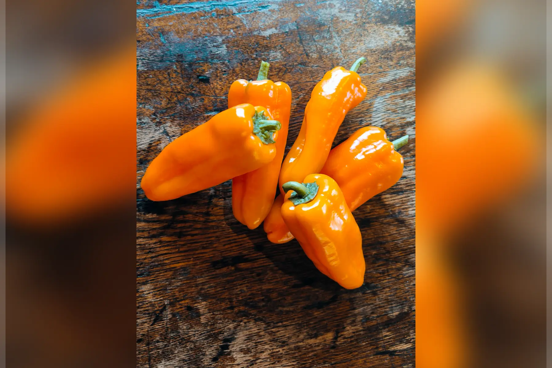 Poivrons oranos