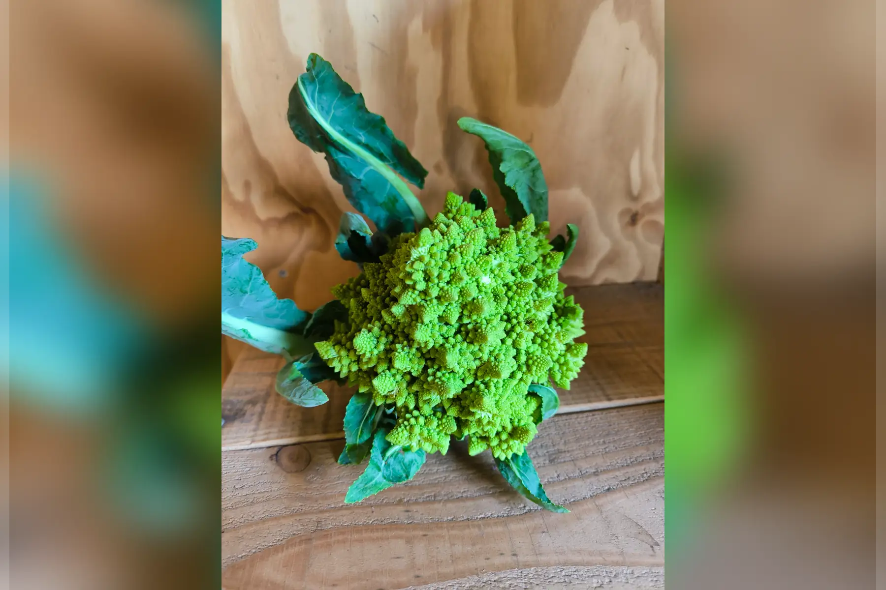 Chou romanesco
