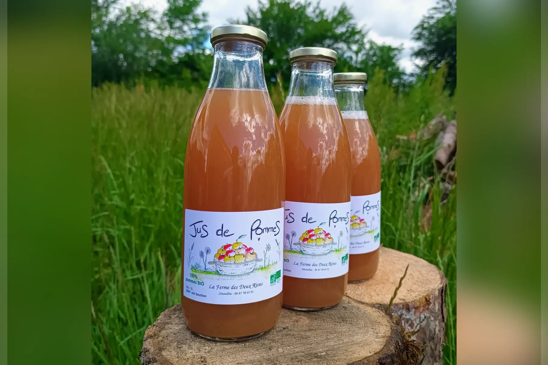 Jus de pomme x3