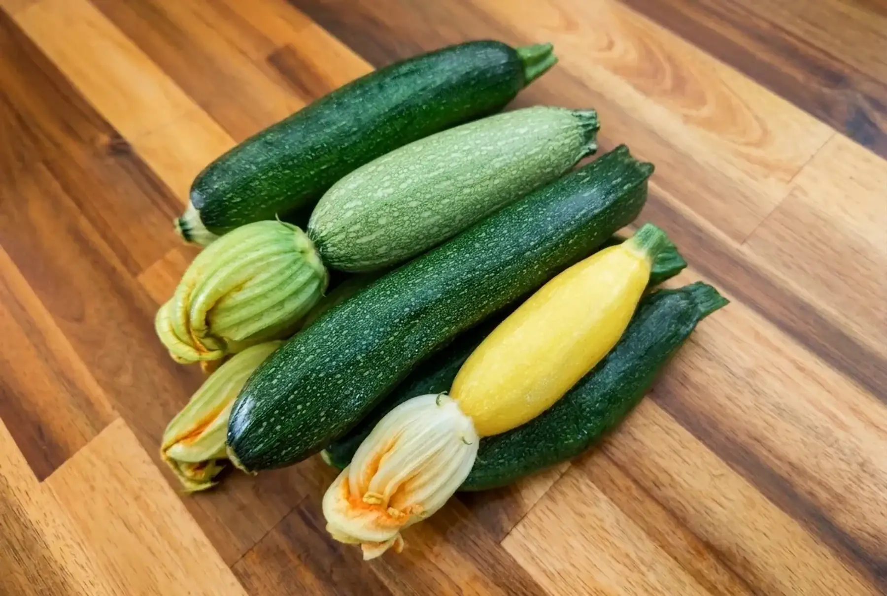 Courgette BABY