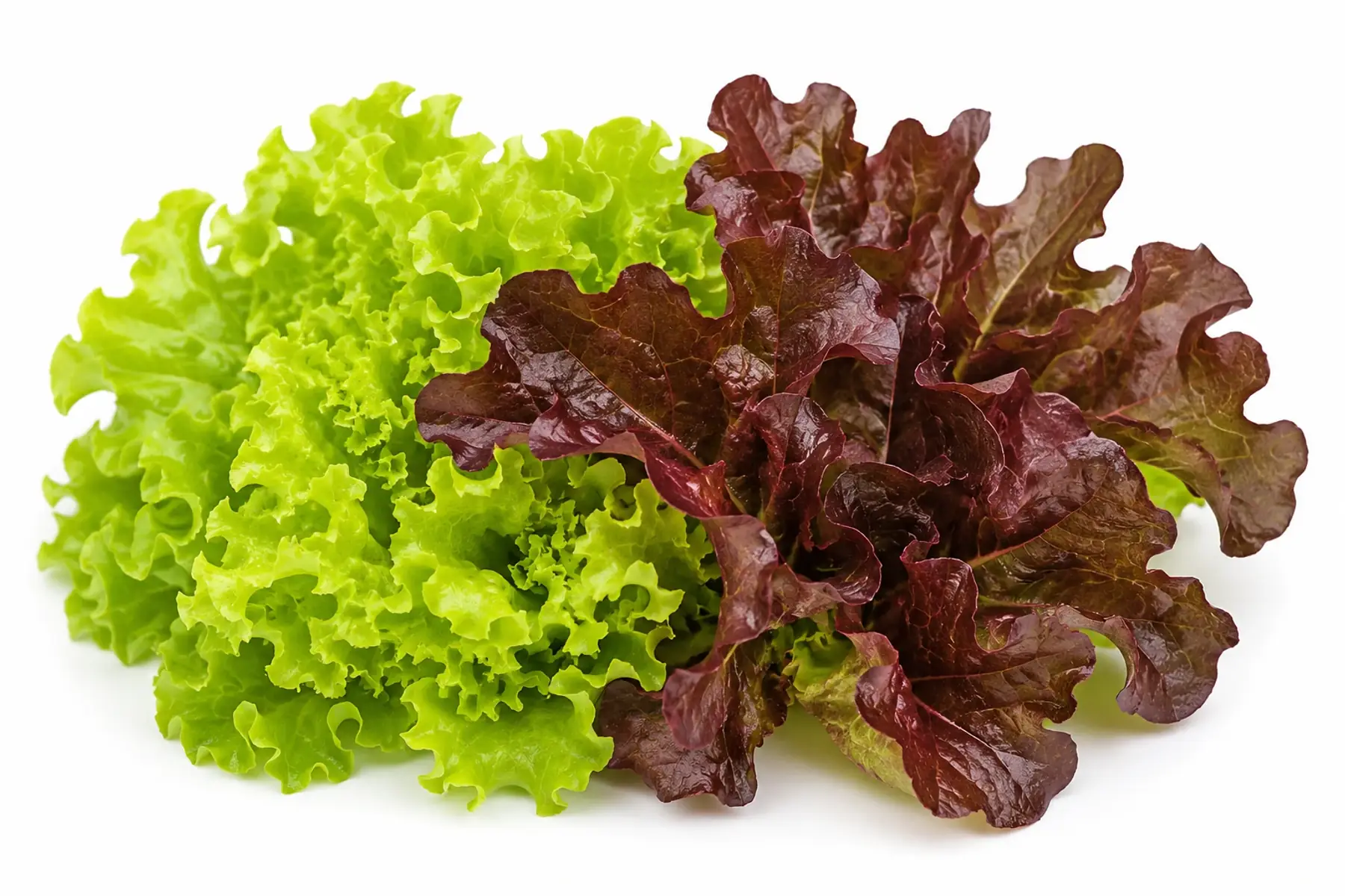 Salade