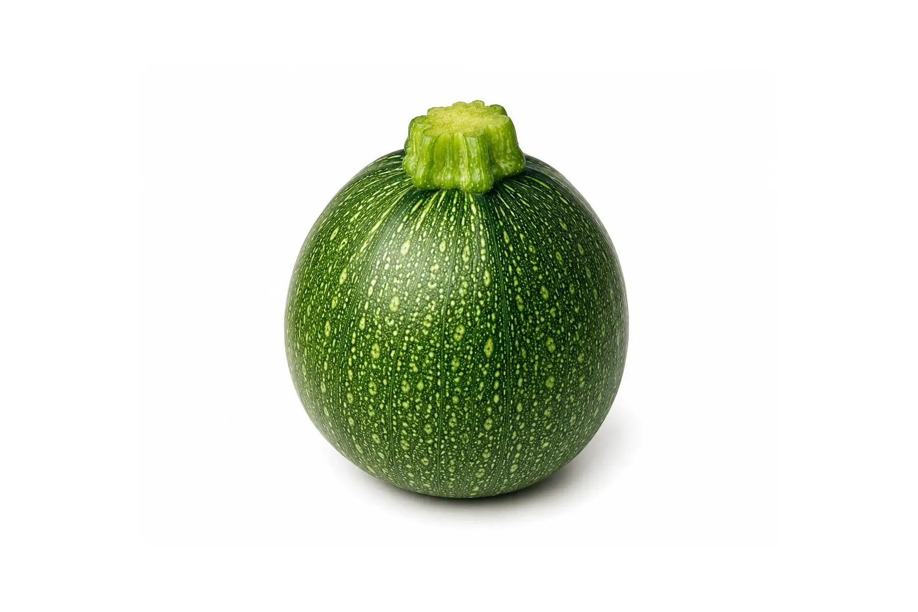 Courgette ronde