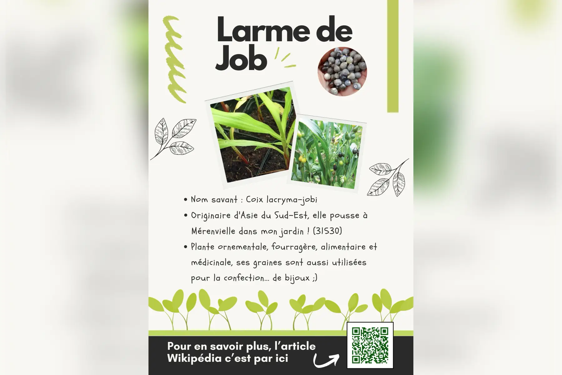 PermaPerle