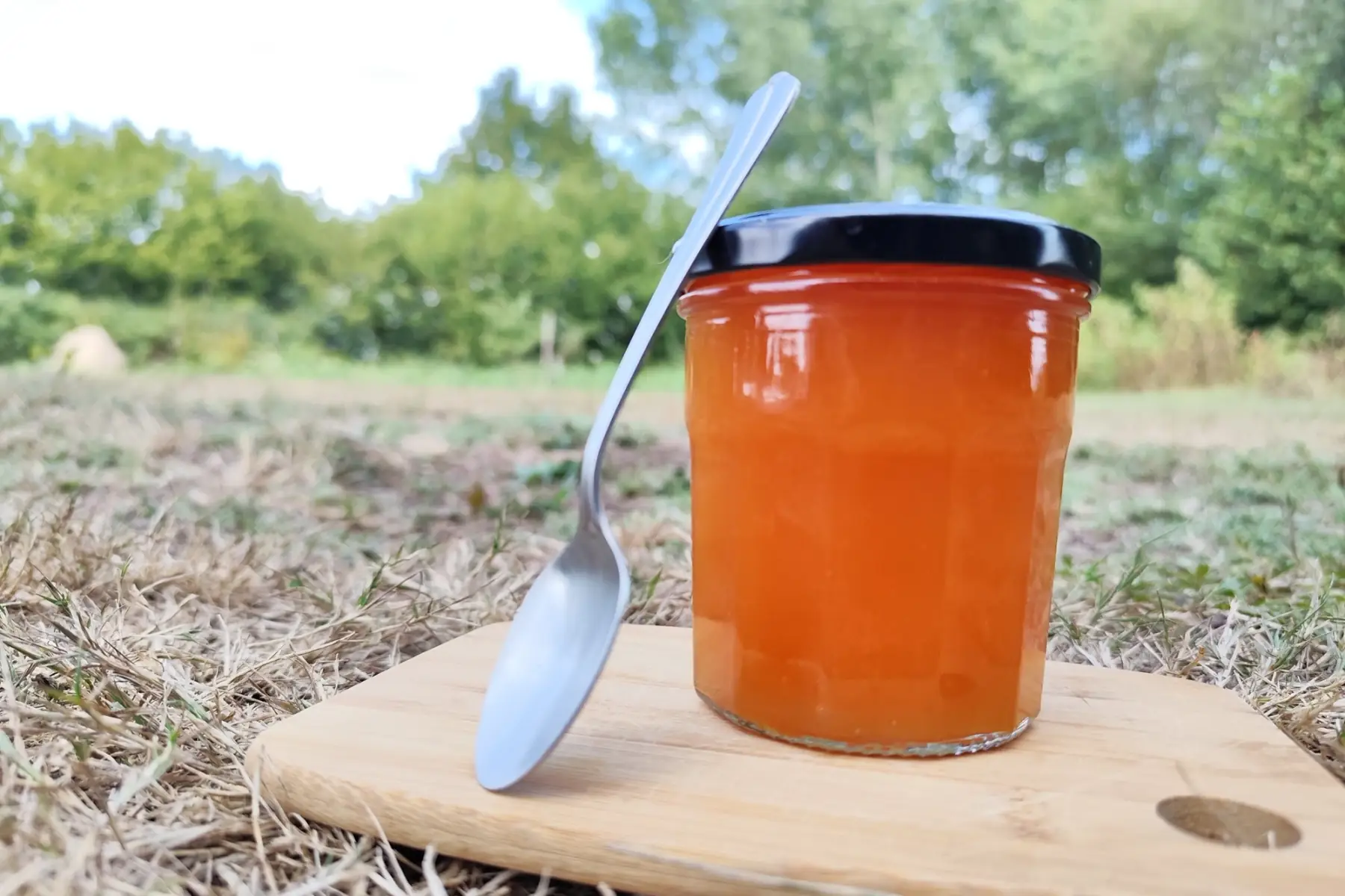 Confiture de melon