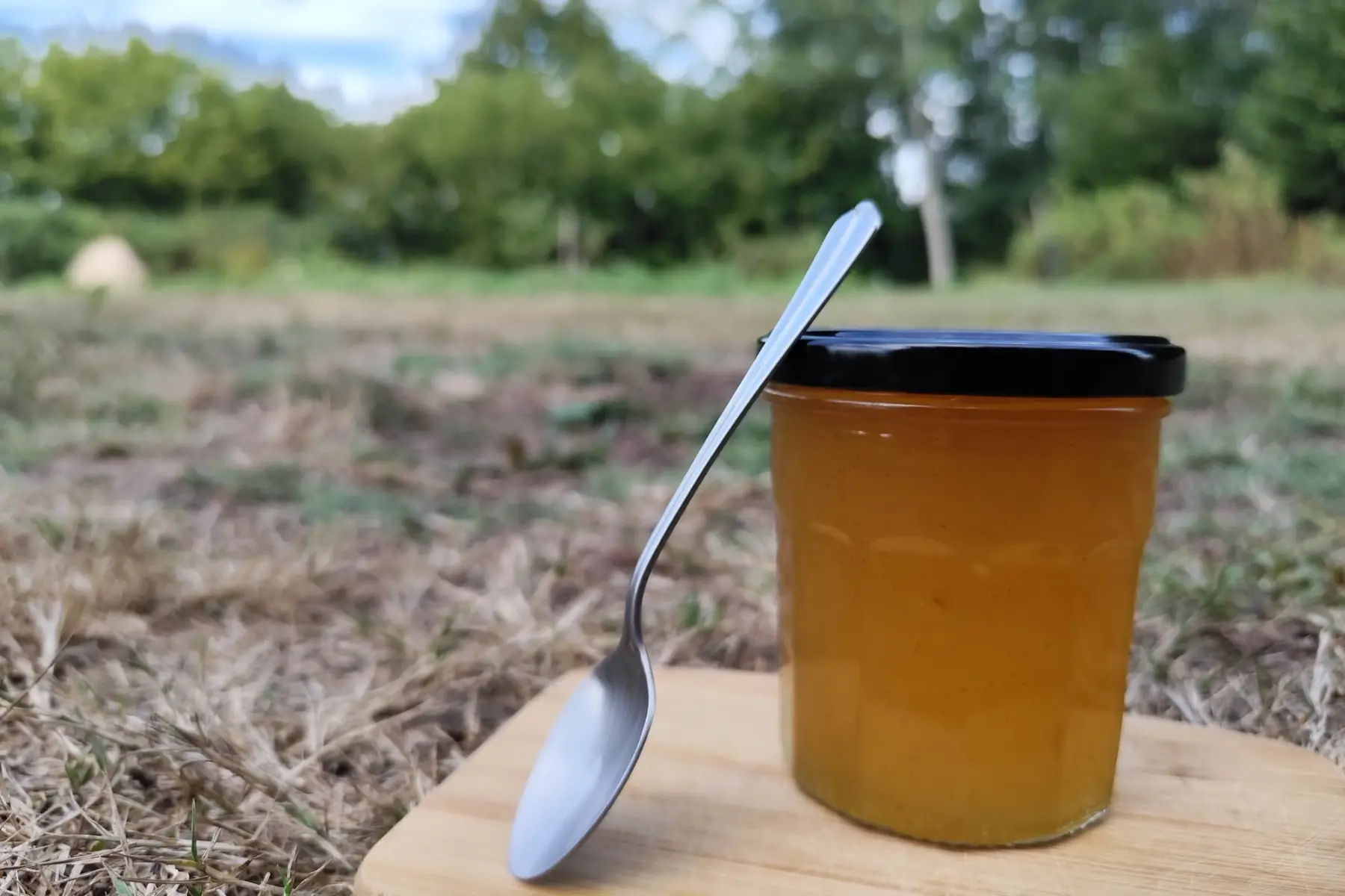Confiture concombre / vanille