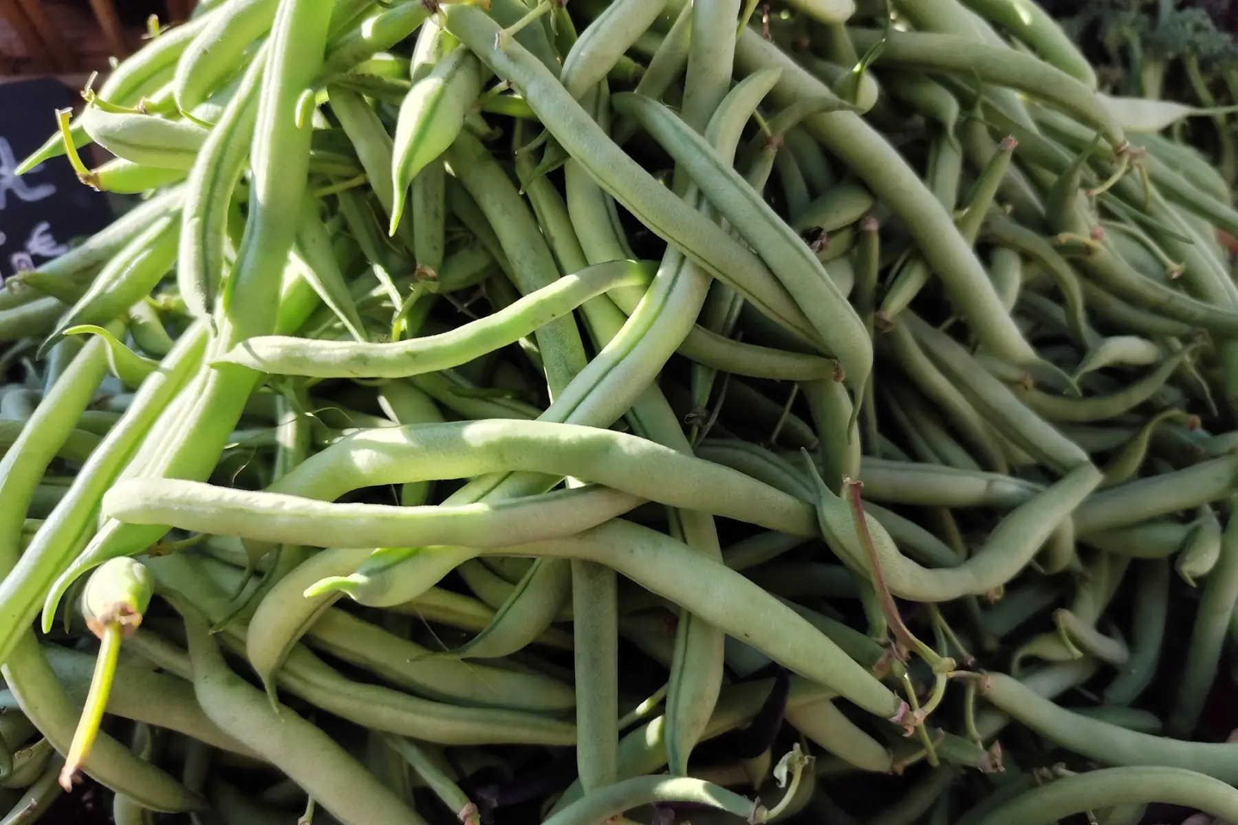 Haricots verts