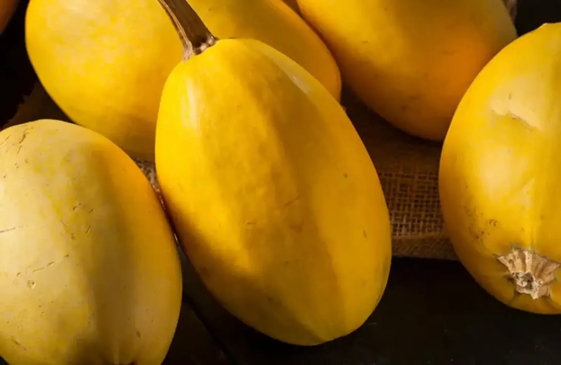 Courge spaghetti